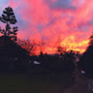 Meet your Posher, Aline